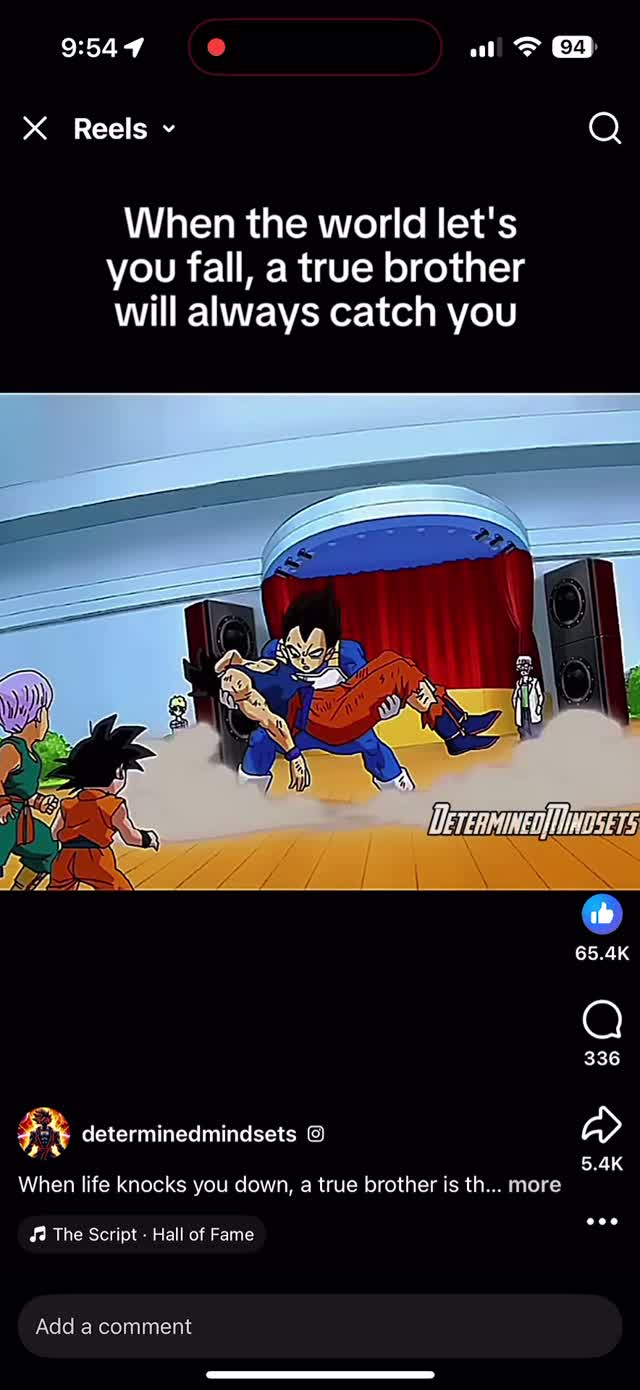 Dragonball Z Brothers